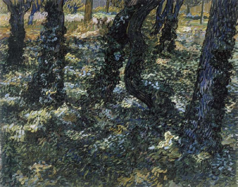 Vincent Van Gogh Undergrowth France oil painting art